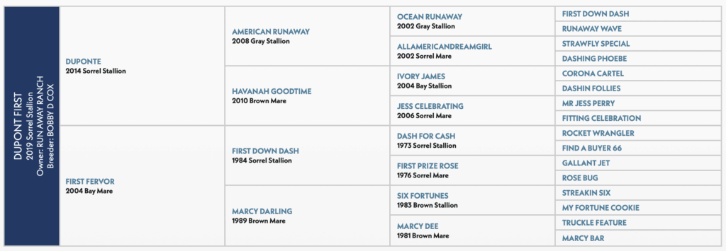 Dupont First AQHA pedigree papers