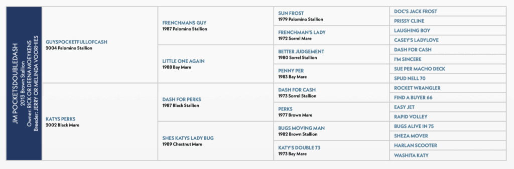 JM PocketsDoubleDash horse pedigree