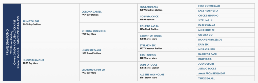 Prime Diamond horse pedigree