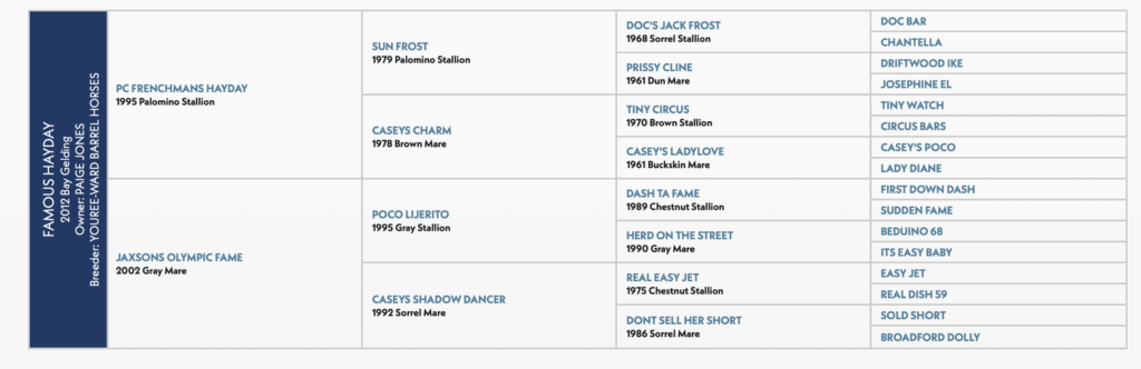 Famous Hayday Pedigree horse papers