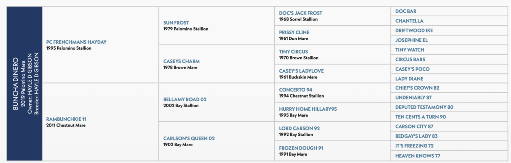 Buncha Dinero horse pedigree