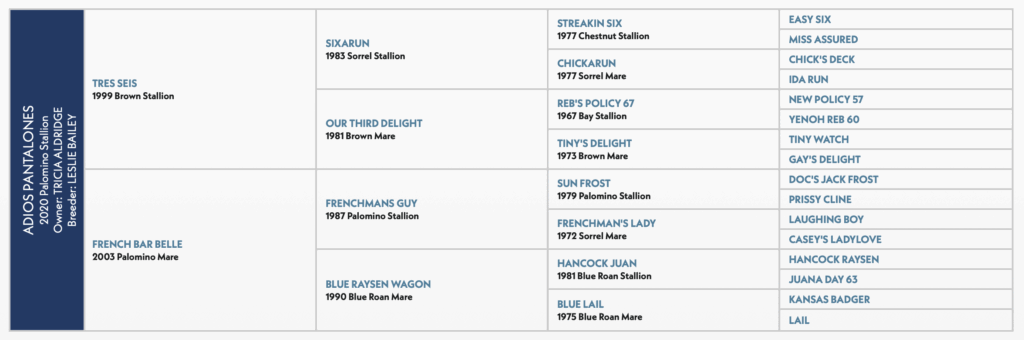 Adios Pantalones horse pedigree