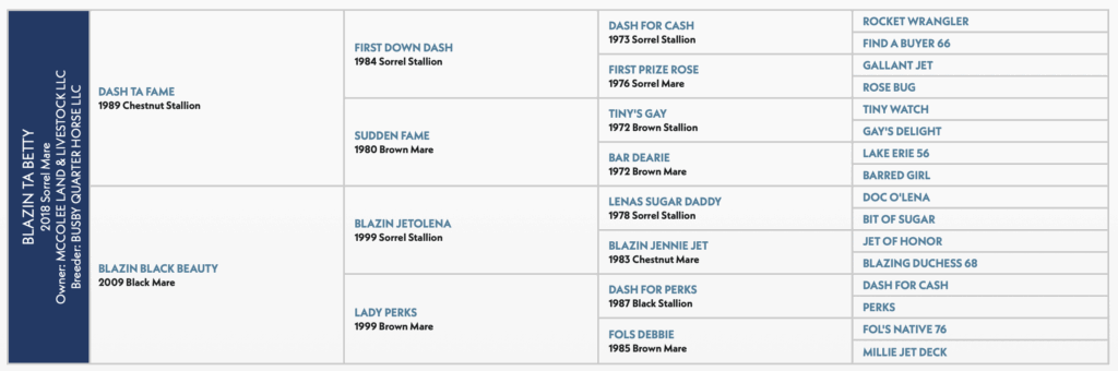 Blazin Ta Betty horse pedigree