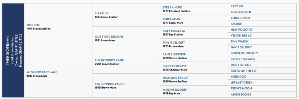 Thee Ironman Horse Pedigree