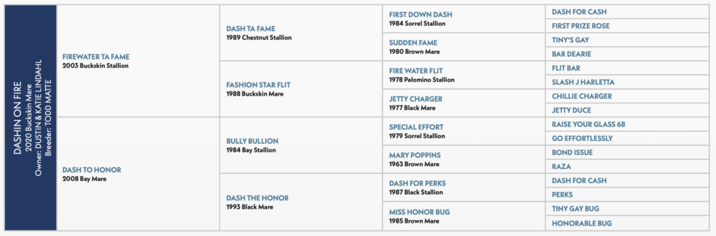Dashin On Fire Horse Pedigree